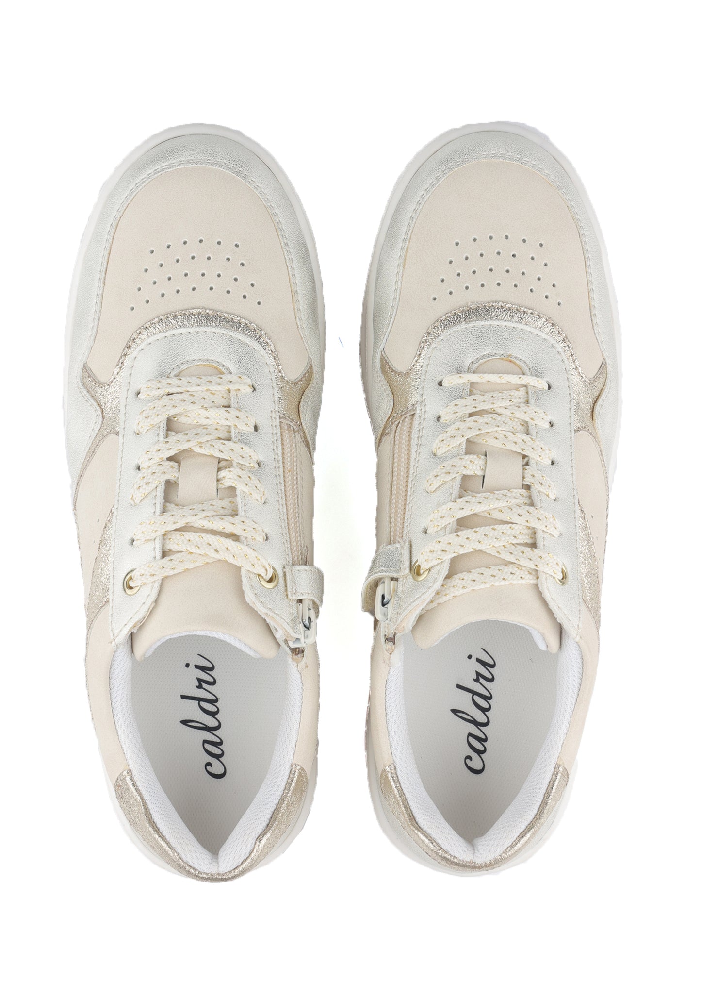CAL-019-15
