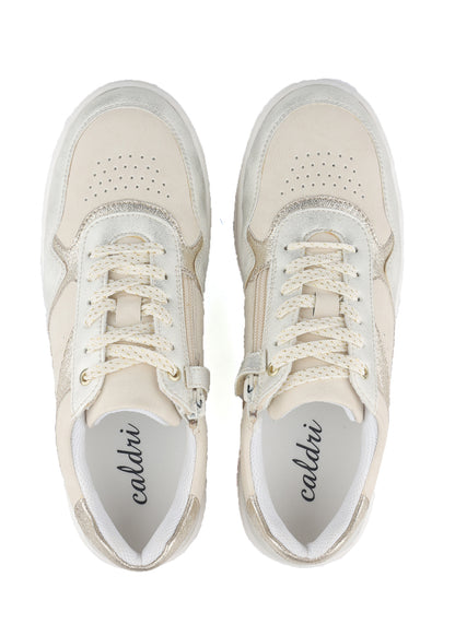 CAL-019-15