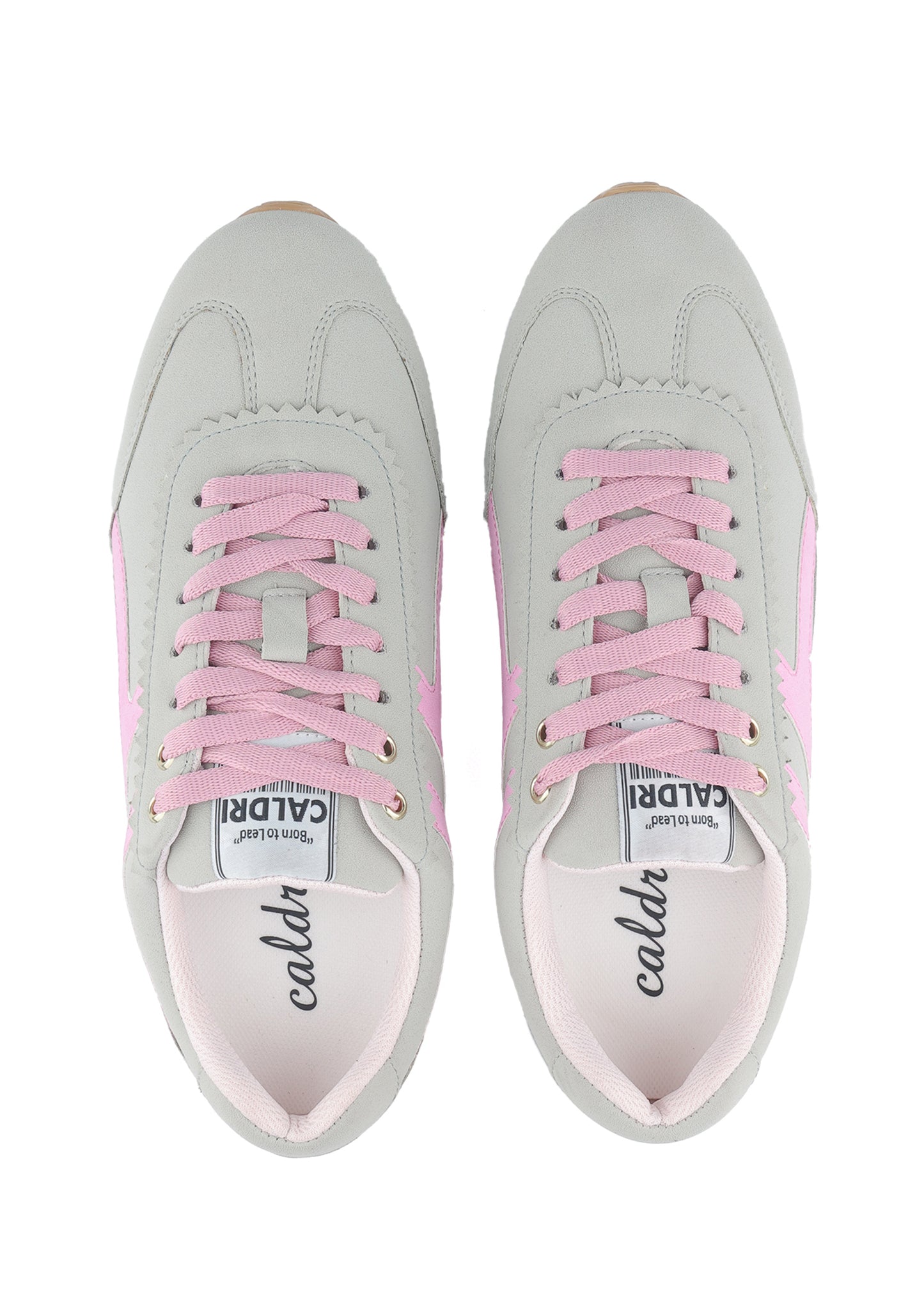 CAL-018-205