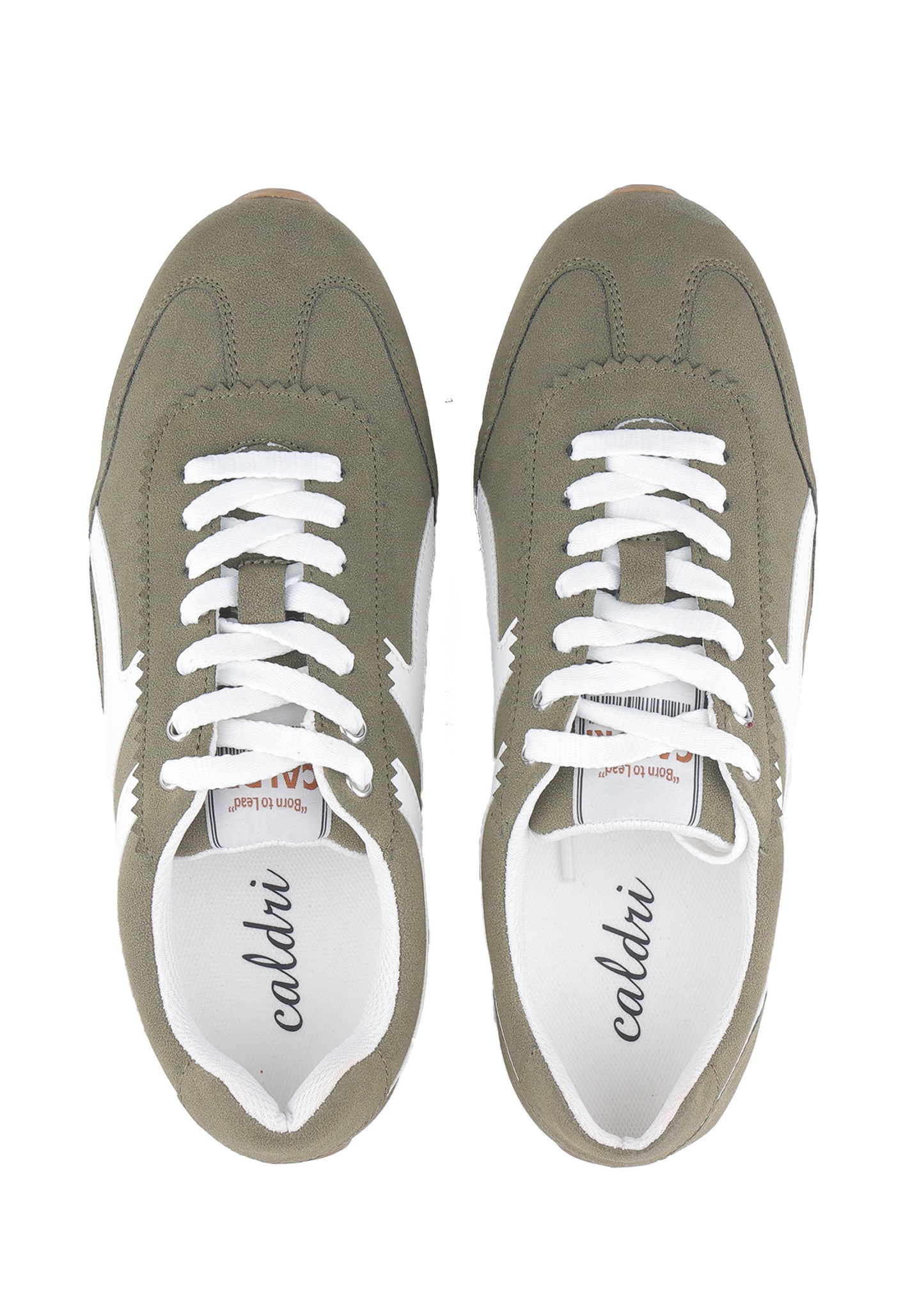 CAL-018-209