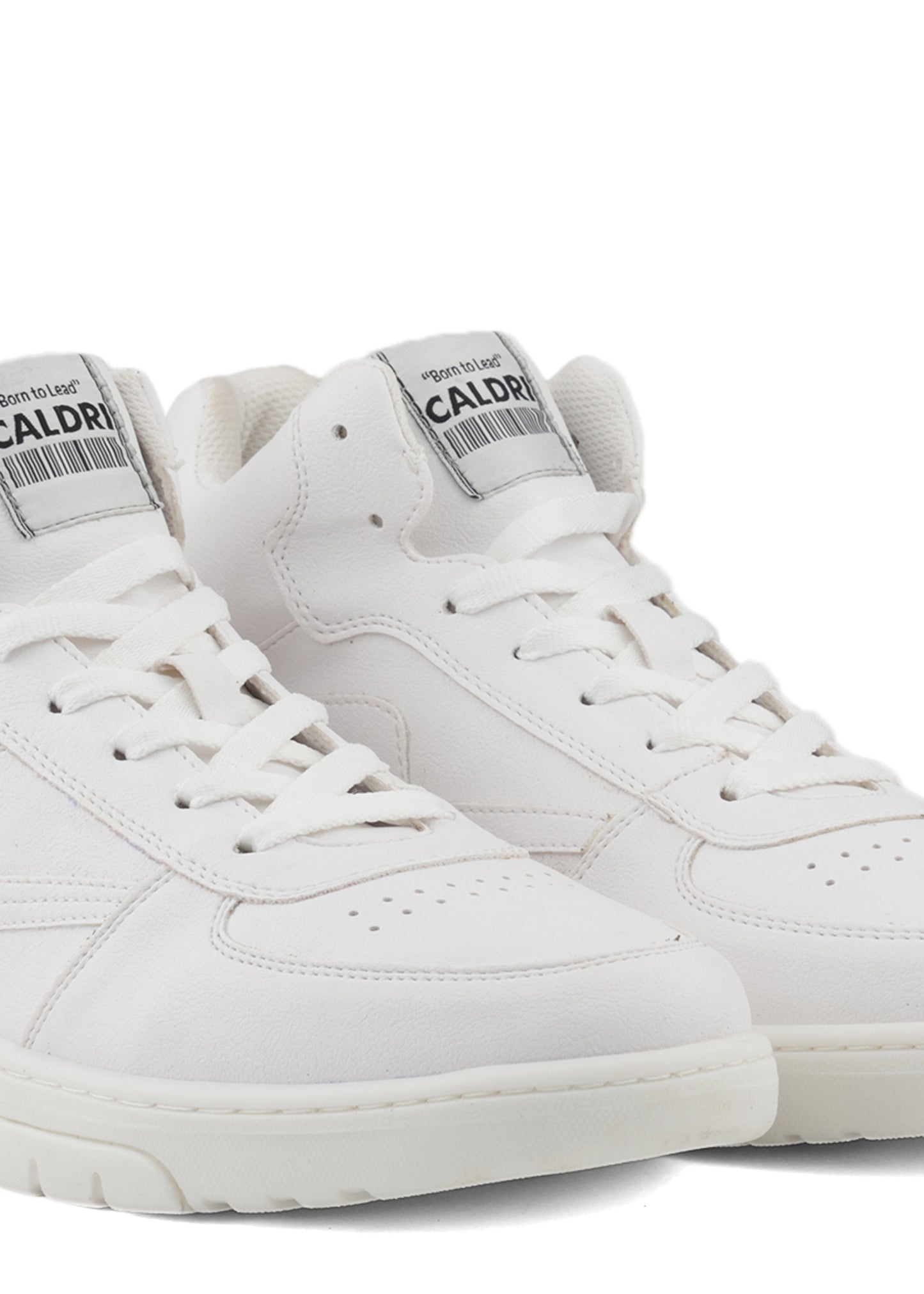CAL-018-204