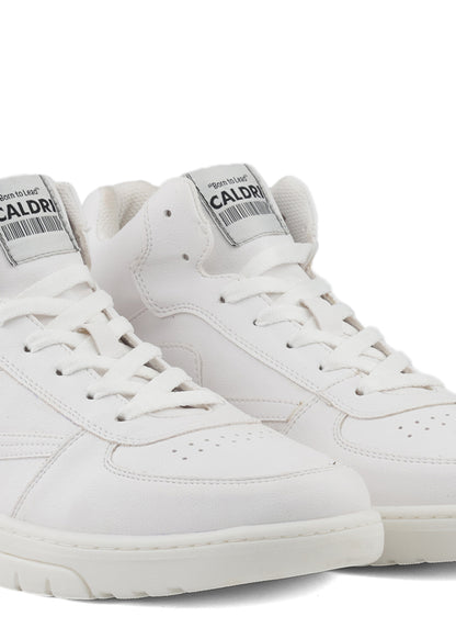 CAL-018-204